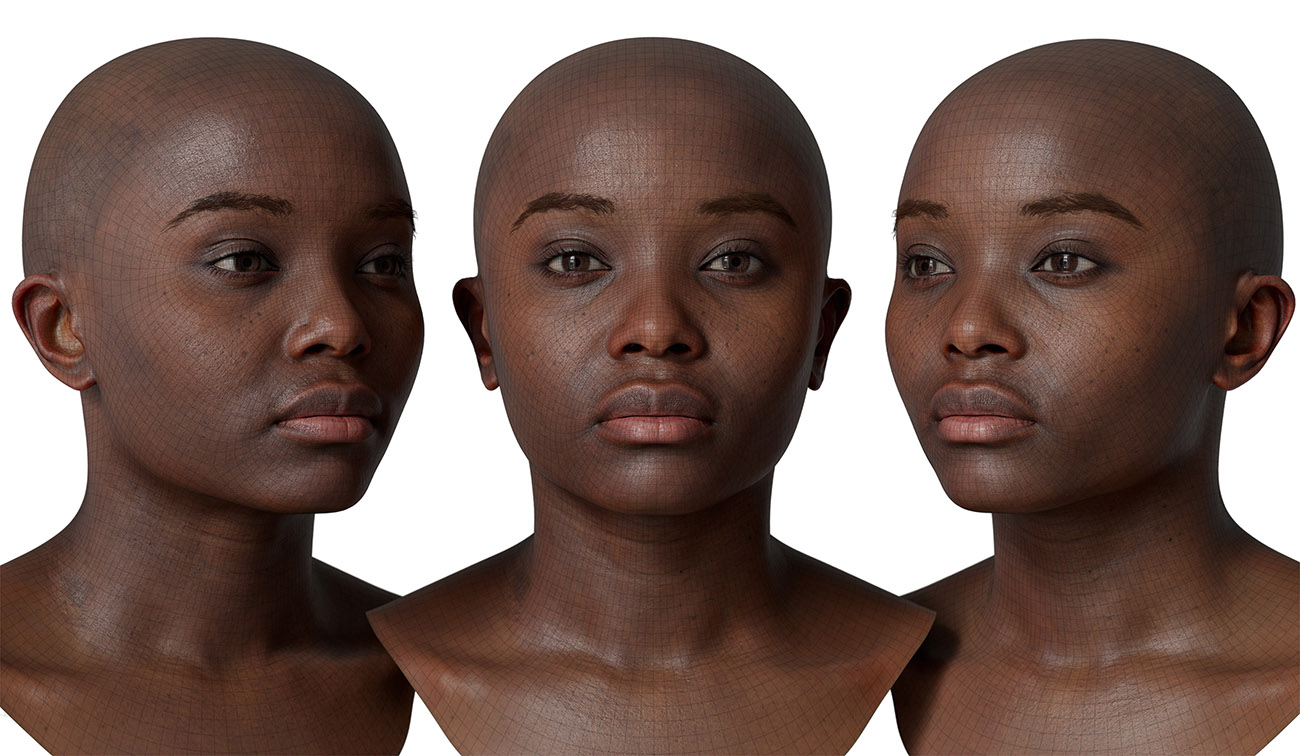 head model wireframe mesh